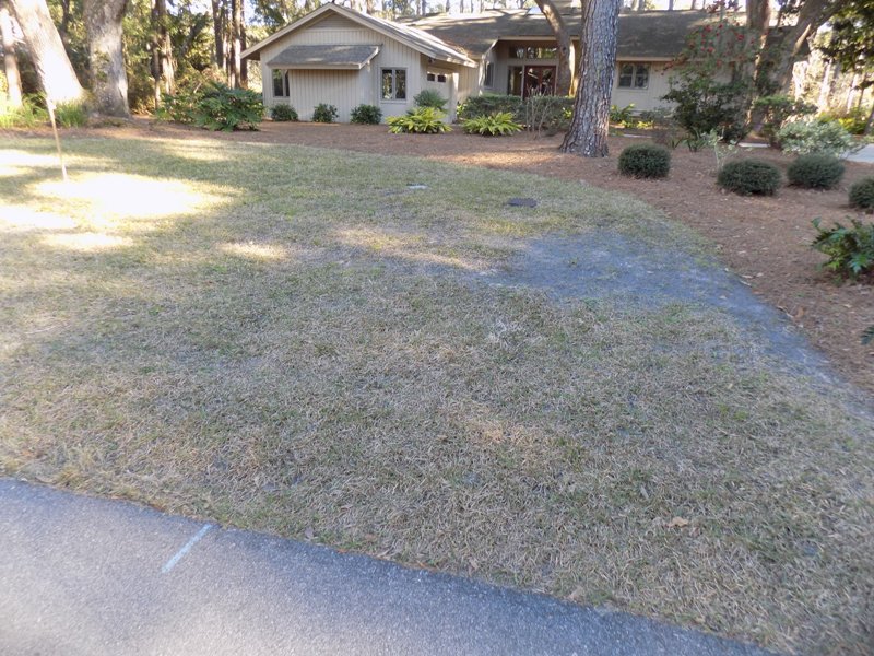 Hilton Head Long Term Rentals